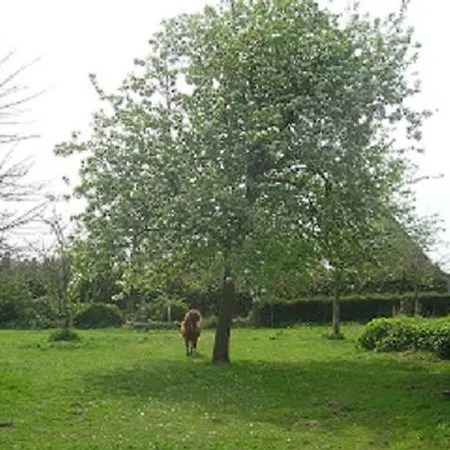 9 La Beauficerie